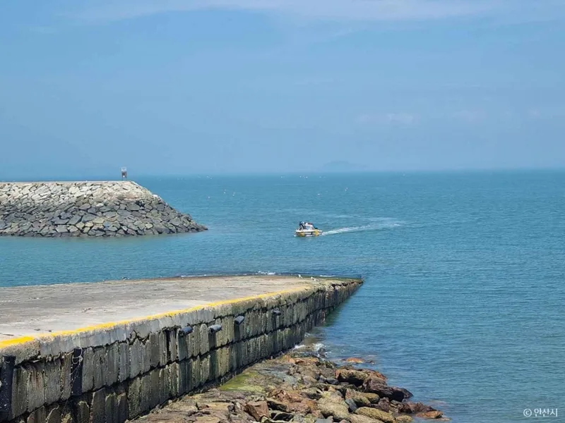 방아머리선착장