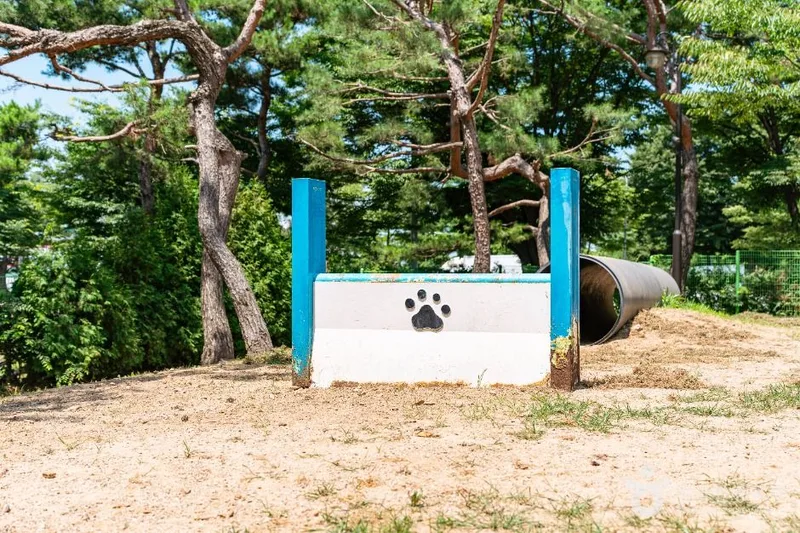 일산호수공원 반려견놀이터