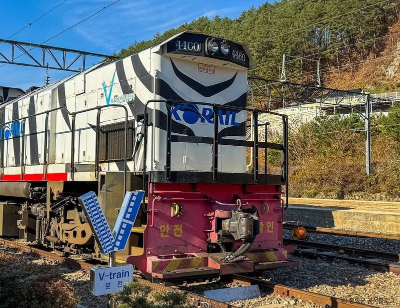 백두대간협곡열차(V-트레인)