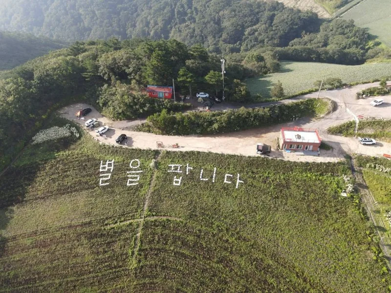 강릉안반데기관광농원