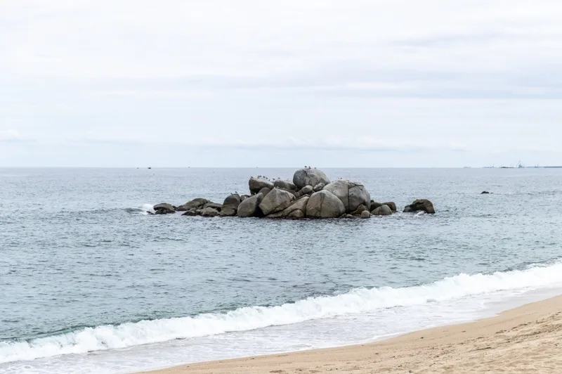 사천해변(사천해수욕장)