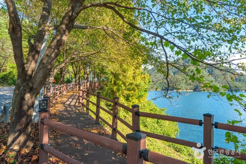 [충주 풍경길] 종댕이길