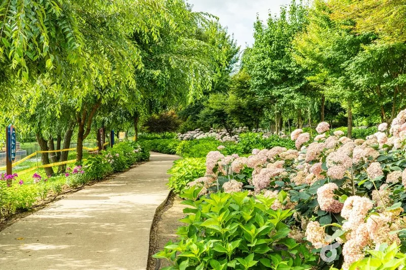 유구색동수국정원