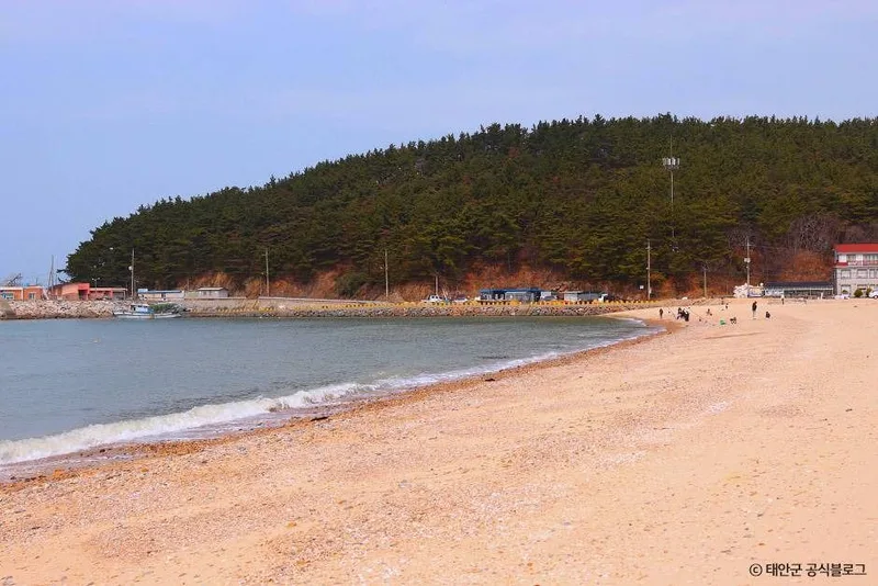 천리포해수욕장