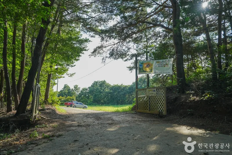 해바라기올래정원