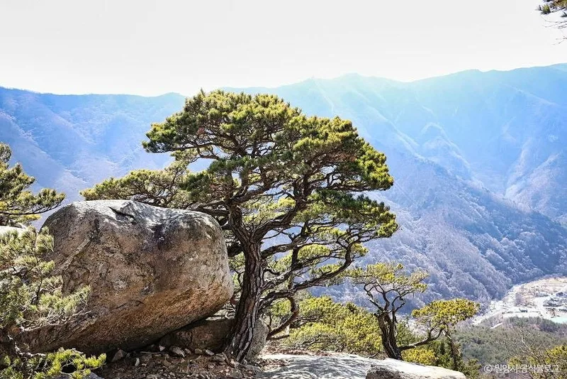 가지산도립공원(밀양)