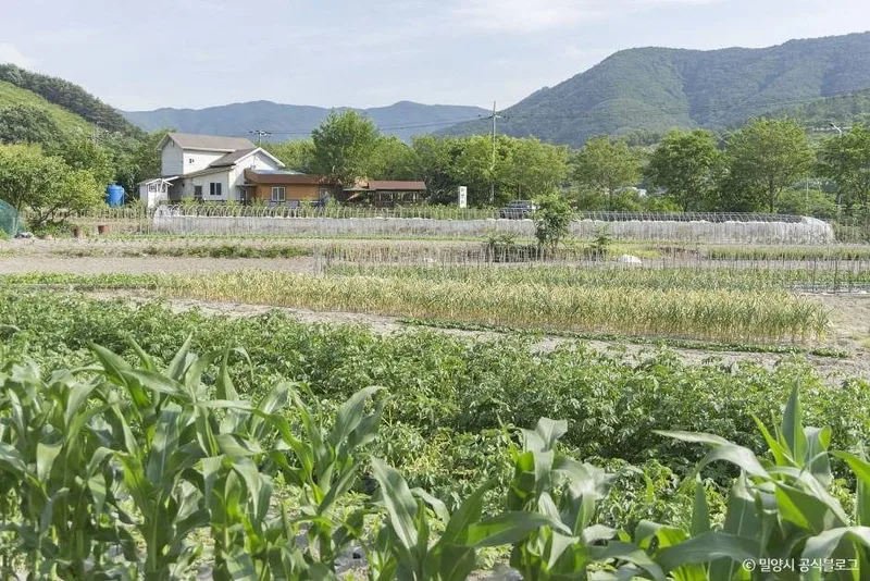 평리산대추마을