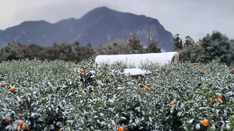 나무와열매 체험농장