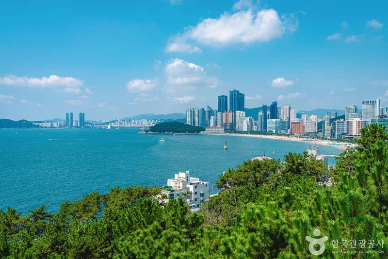 해운대 달맞이길