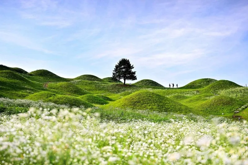 대구 불로동 고분군