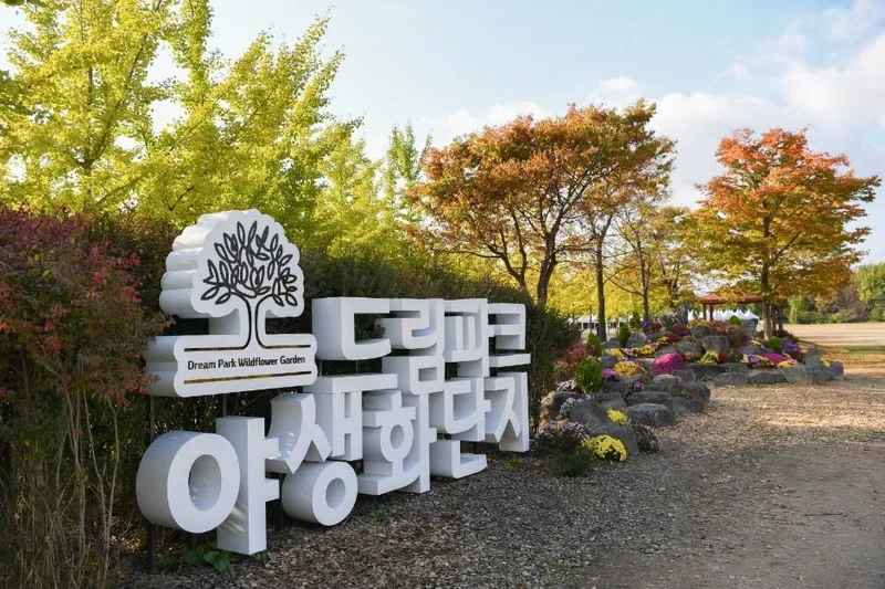 수도권매립지 드림파크 야생화단지