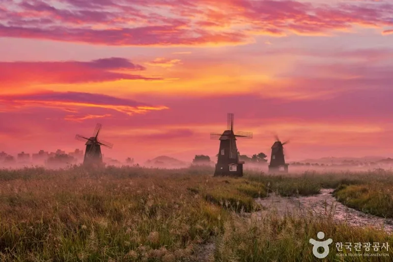 소래습지생태공원