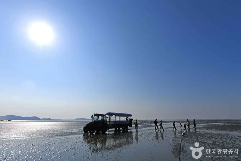 선재도(선재도 어촌체험마을)