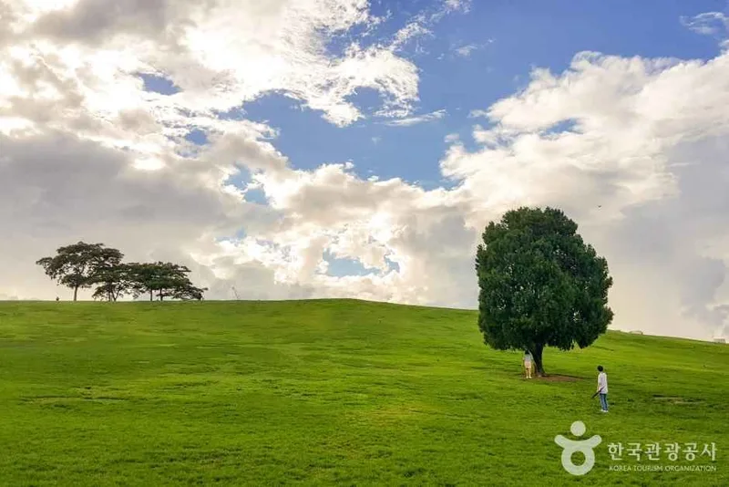 올림픽공원