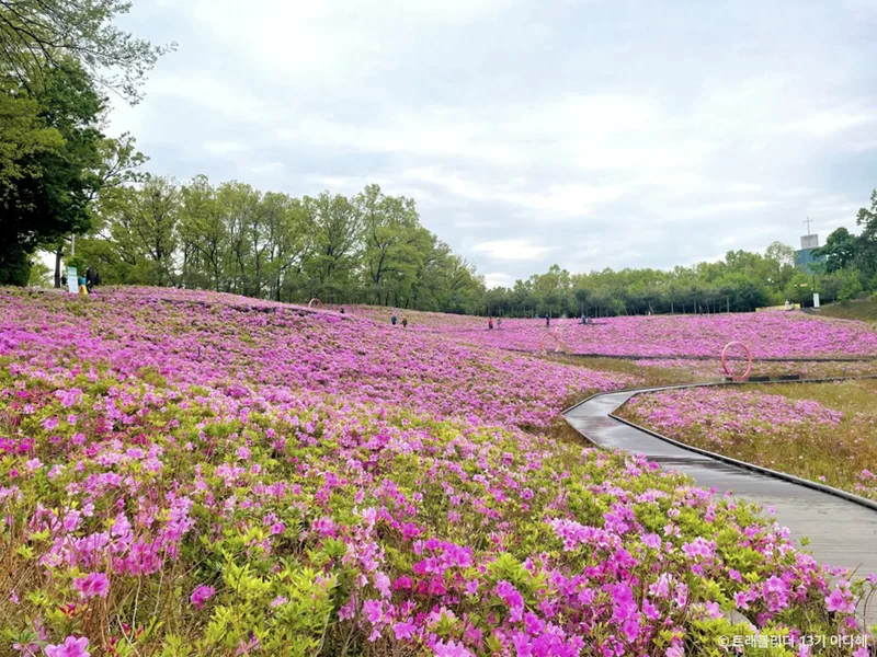 불암산나비정원