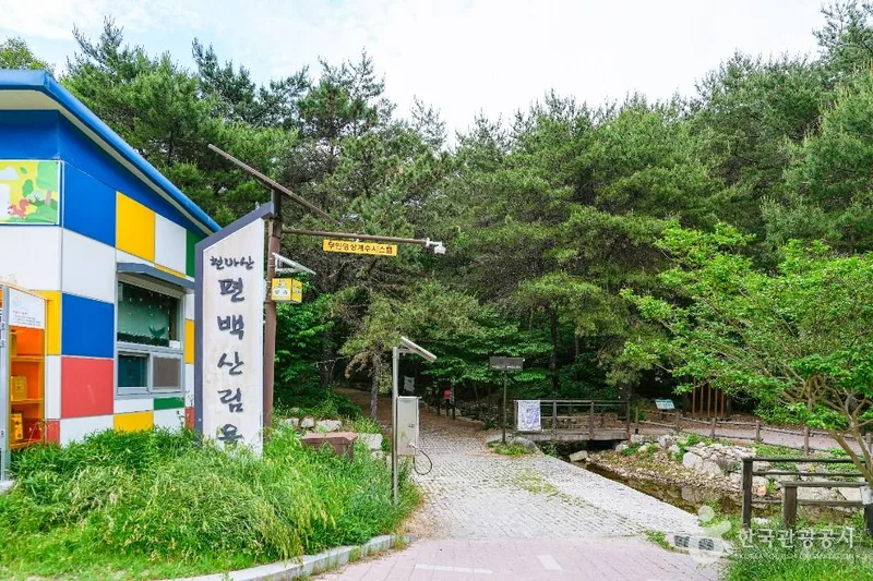 북구 편백산림욕장