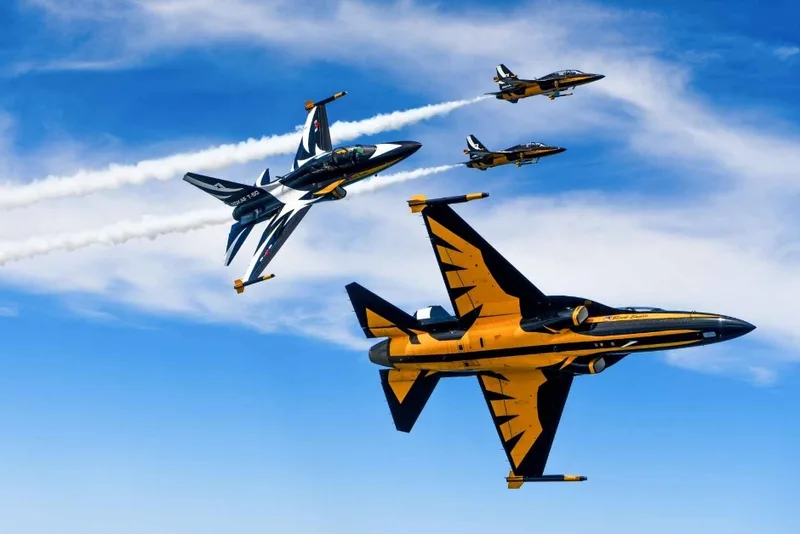 드론봇 페스티벌