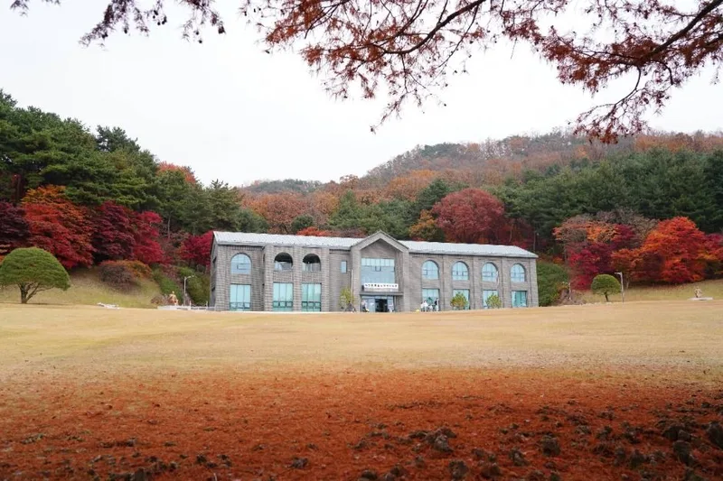 청남대 가을축제