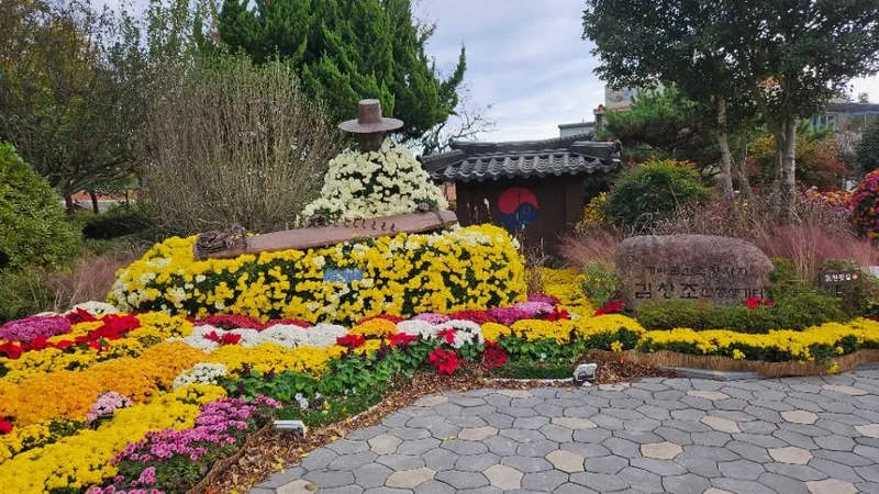 월출산 국화축제