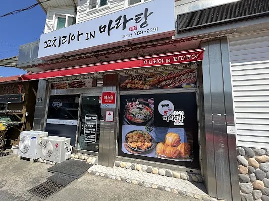 꼬치리아IN피자투어