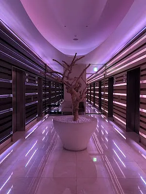 워킹온더클라우드