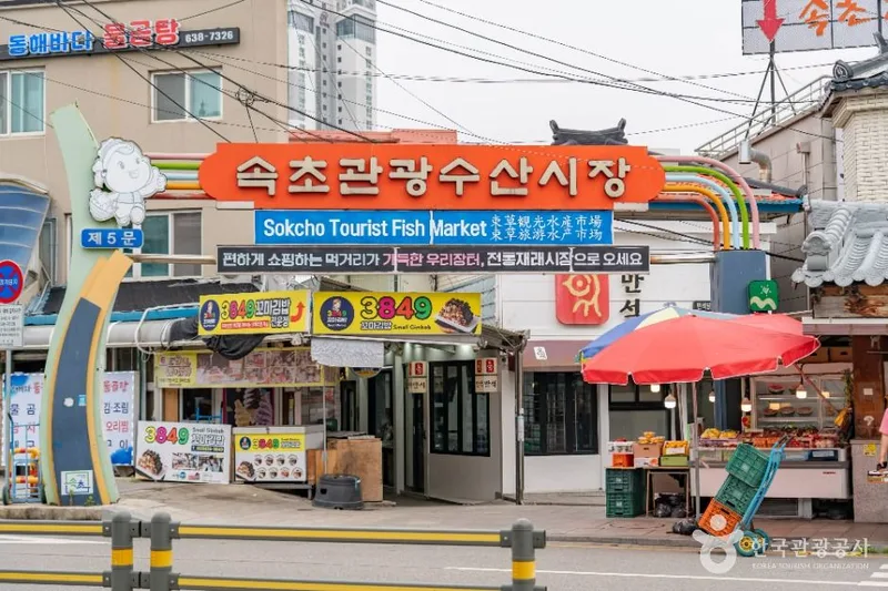 속초관광수산시장