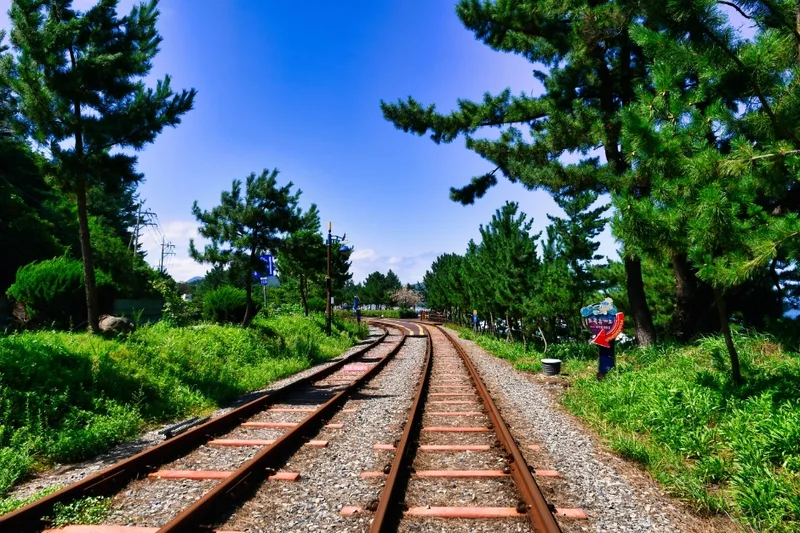 삼척 해양레일바이크