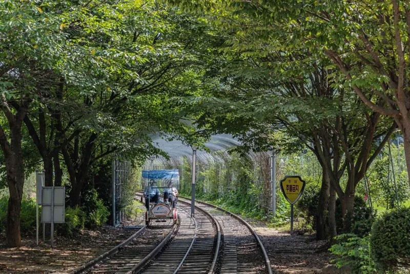 문경 철로자전거(레일바이크)