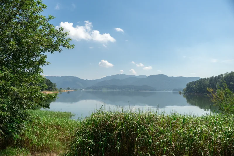 대청호오백리길