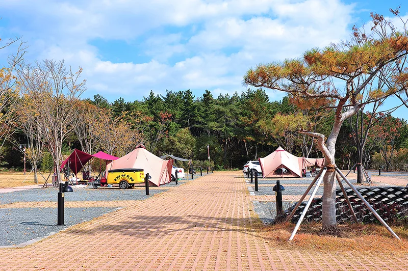 황방산생태야영장